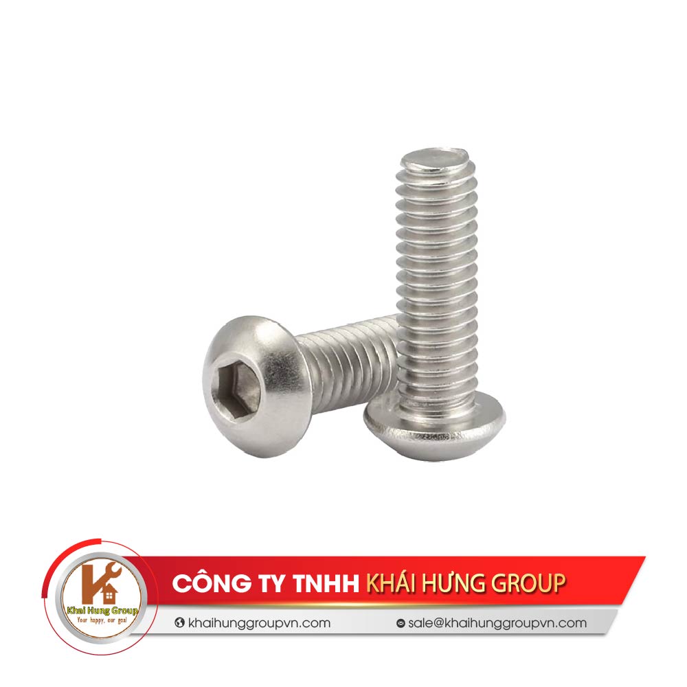 Bu lông lục giác chìm chỏm cầu BAA-FASTENERS BHC-201 series