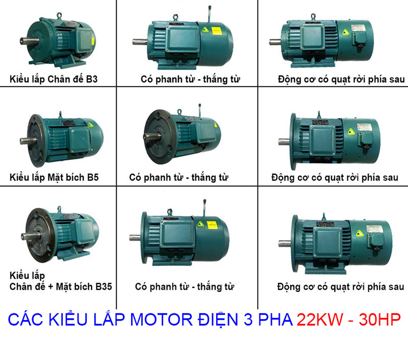 Motor động cơ điện 3 pha IE2 22kw 380v 30hp