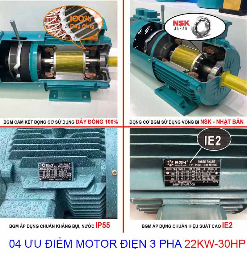 Motor động cơ điện 3 pha IE2 22kw 380v 30hp